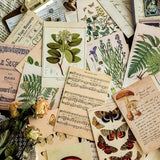 50-Piece Authentic Vintage Ephemera Kit